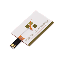 UDP USB Flash Drive Thumbnail