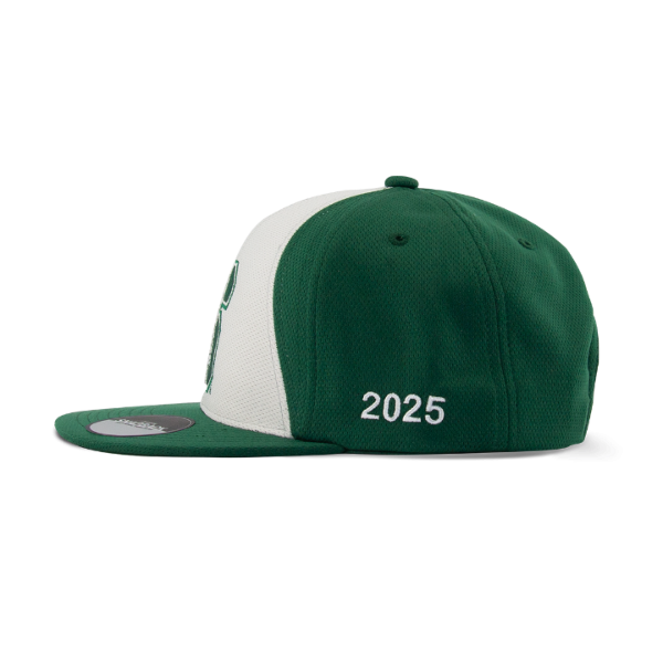 Scot's Pine / Thumbnail