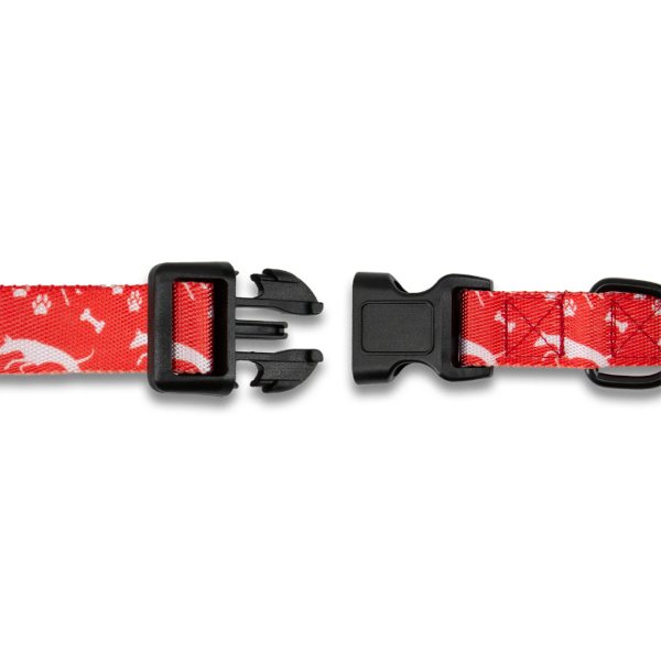 Nylon Dog Collar Thumbnail