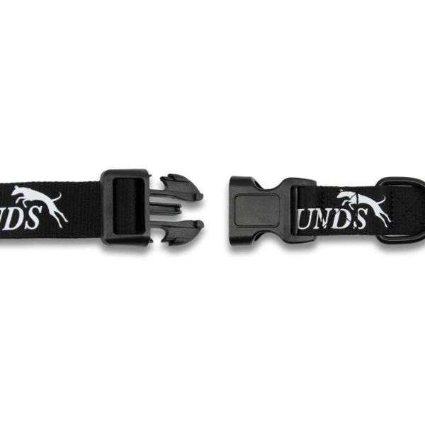 Nylon Dog Collar Thumbnail