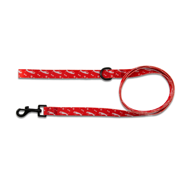 Nylon Dog Leash Thumbnail