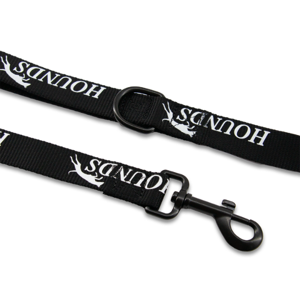 Nylon Dog Leash Thumbnail