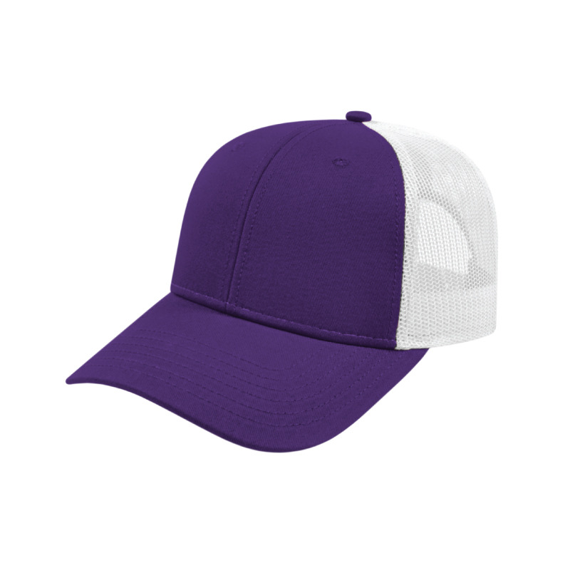 i3115 in Purple/White