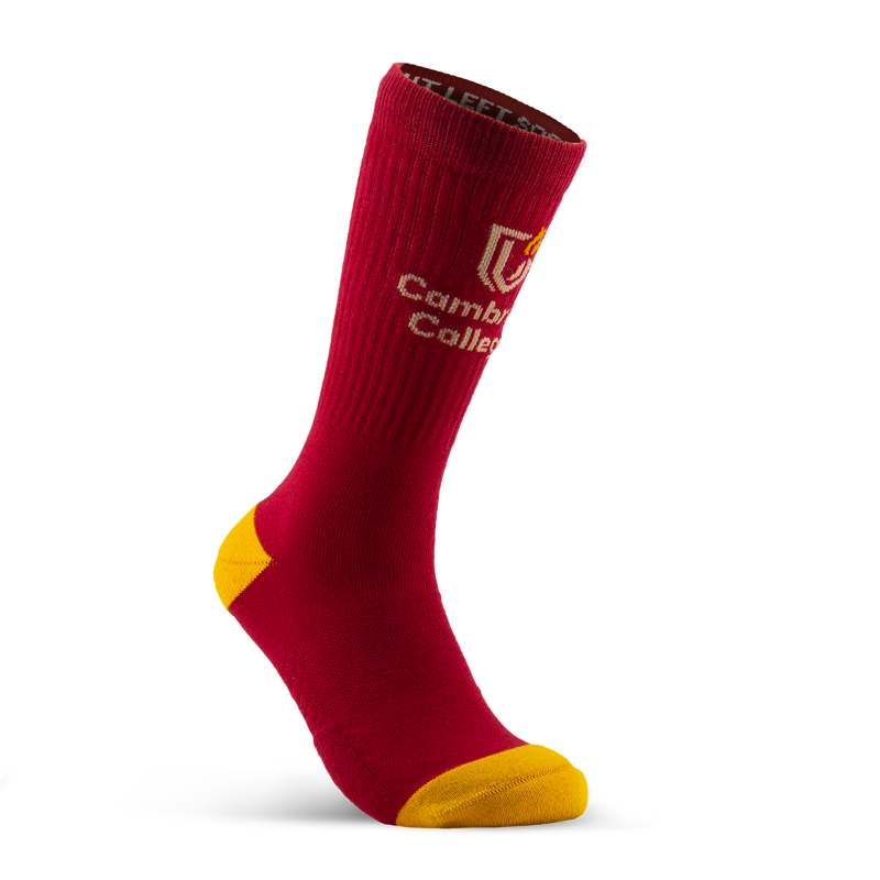 Premium Casual Socks Image